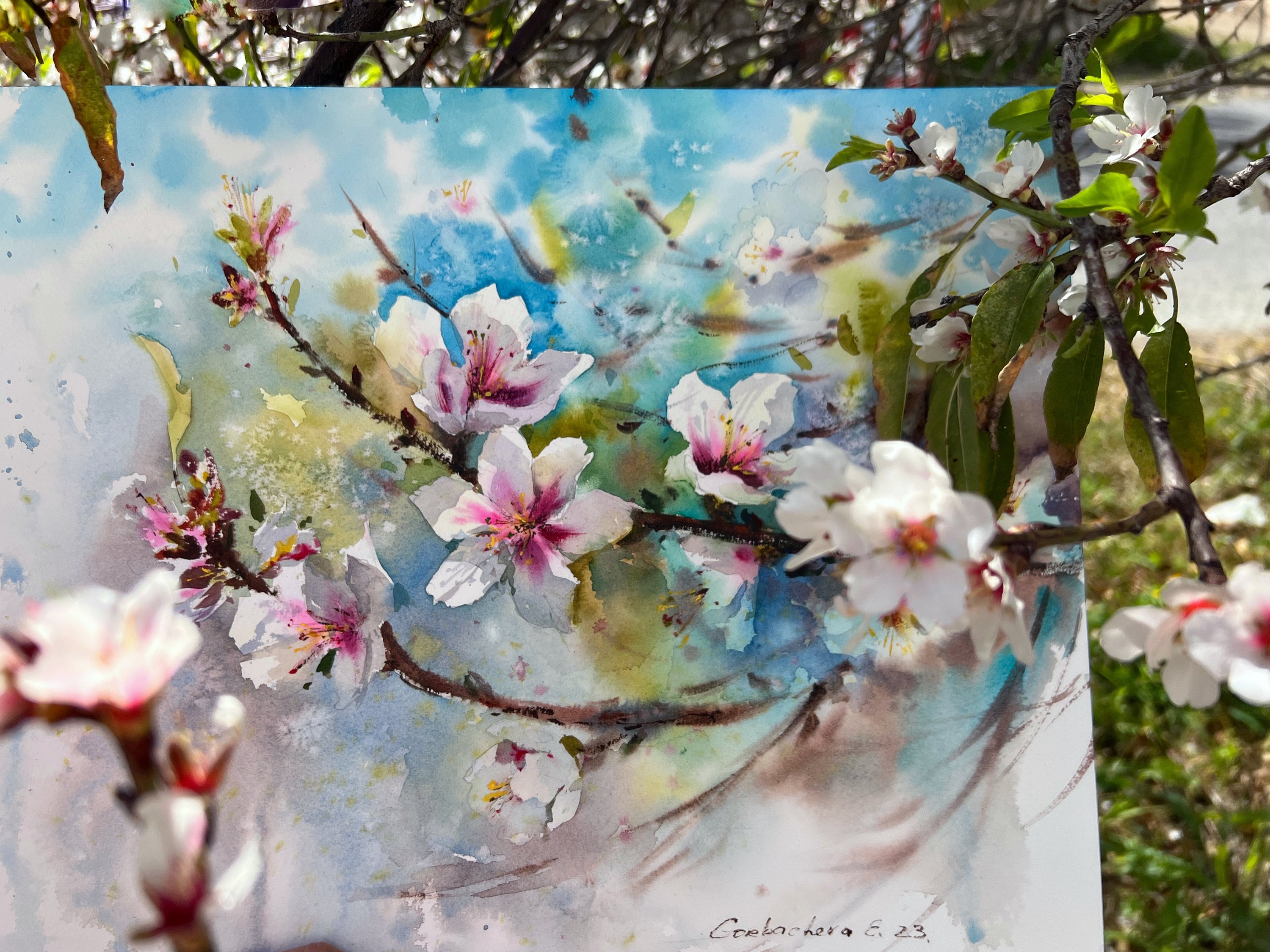 オリジナル水彩画：咲き誇るアーモンドの木の植物画（12 x 16インチ