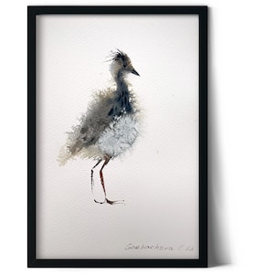 Piccolo dipinto ad acquerello di un pulcino di pavoncella grigia, arte originale di uccelli, bellissimo accento murale, regalo di Natale per gli amanti della natura