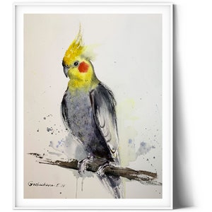 Vibrant Parrot Watercolor Painting, Original Exotic Bird Art, Cockatiel Lover Gift, Tropical Home Decor