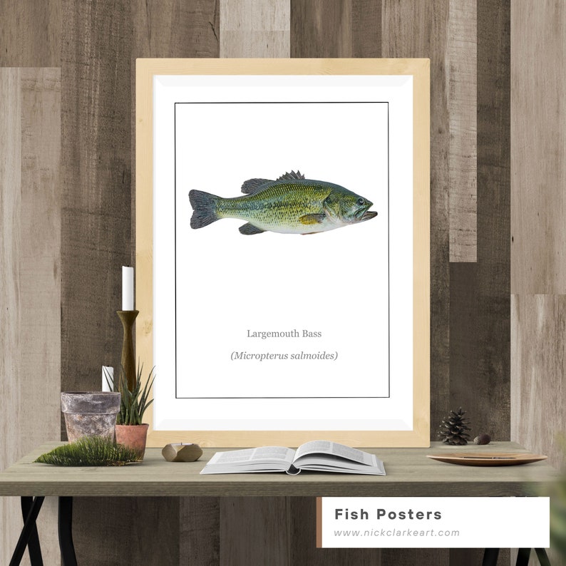 Printable Fish Art largemouth Bass Instant - Etsy
