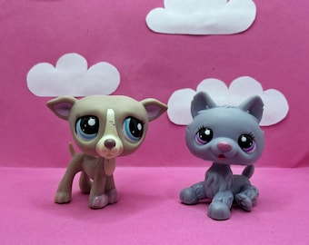 Lot Petshop Bouledogue N°2587 Et Bébé N°3588 - Mommy & Puppy Sous Blister