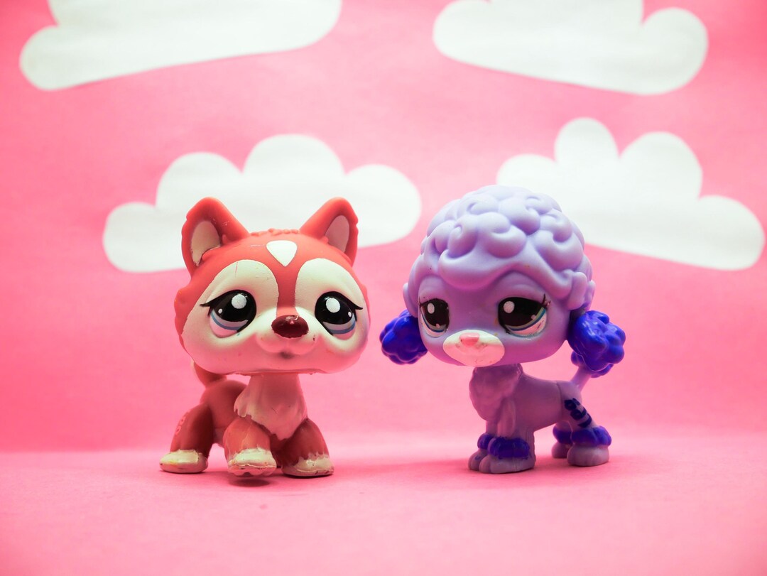 Authentic Littlest Pet Shop #1793 Husky Dog / Original Hasbro