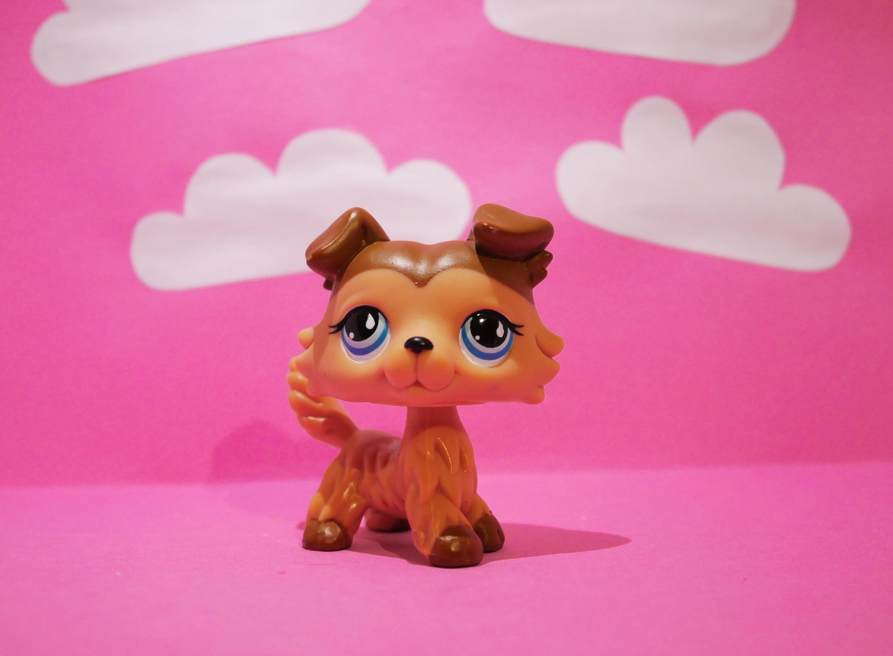 Littlest Pet Shop Main Five Jack Russel Europe Exclusive #2401 Cocker ...