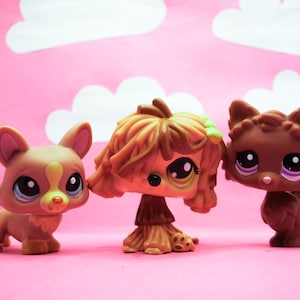 Littlest Pet Shop Seltener brauner Spitz #2449 braun grüner Schäferhund Komodor #1866 Corgis Hund #1158 LPS Vintage Nostalgie Spielzeug