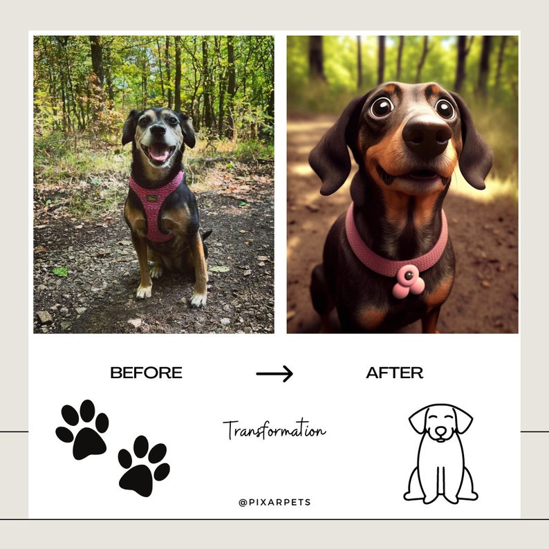 May include: Before and after image of a dog. The before image shows a brown and black dog sitting in a woodland. The after image shows a cartoon version of the dog with large eyes and a pink collar. The text "Transformation" is below the images.