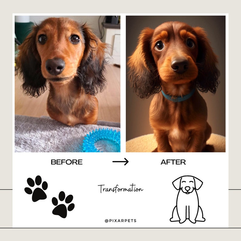 May include: Before and after photo of a dachshund dog. The dog is brown with black fur. The dog is sitting on a blue blanket in the before photo and on a brown surface in the after photo. The dog is wearing a blue collar in the after photo. The text "Transformation" is written below the photos.