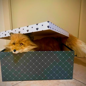 realistic fox custom stuff plush,realistic fox, realistic fox plush toy, realistic stuffed fox + free shipping