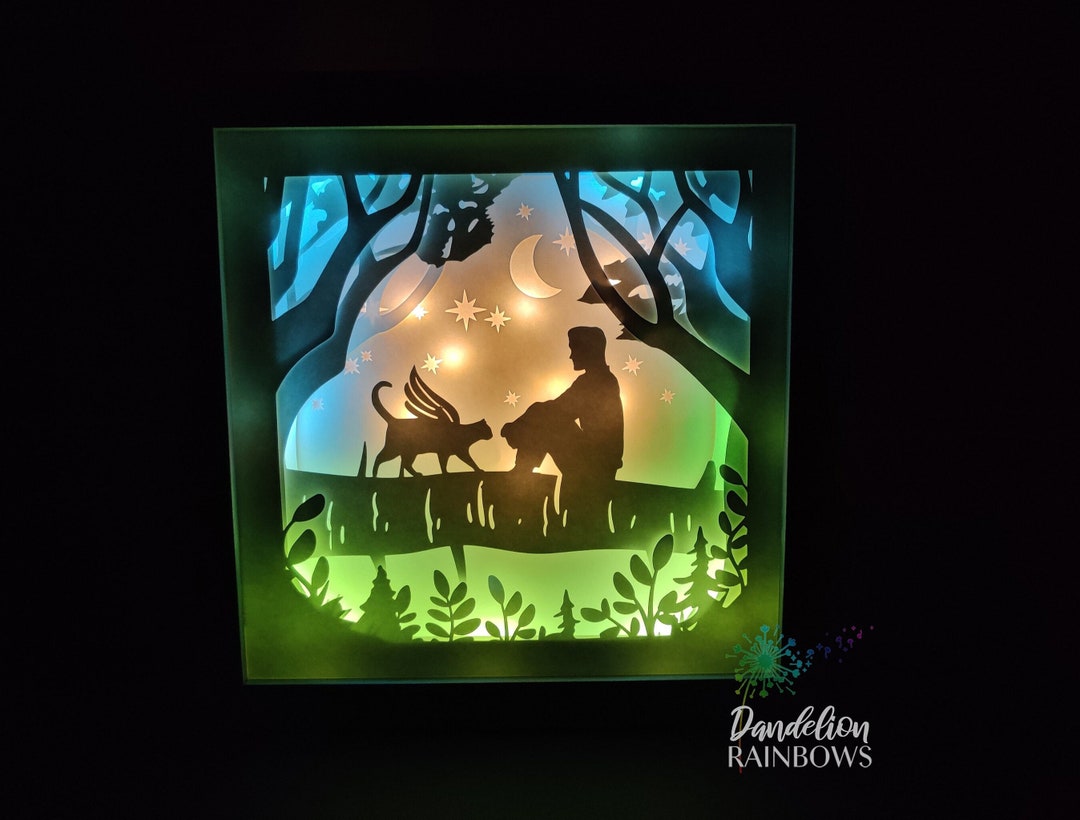 Cat Memorial Shadow Box, Light up Shadow Box, Cat Sympathy Gift, Cat