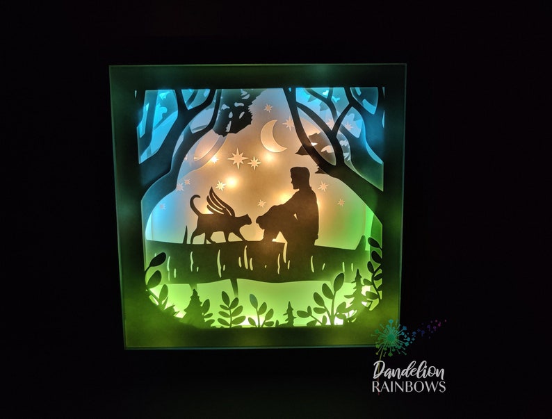 Cat Memorial Shadow Box, Light up Shadow Box, Cat Sympathy Gift, Cat