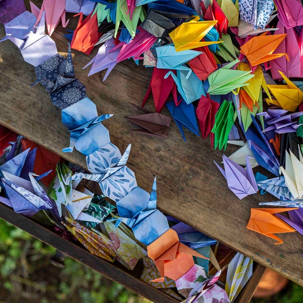 33 origami cranes in all colors