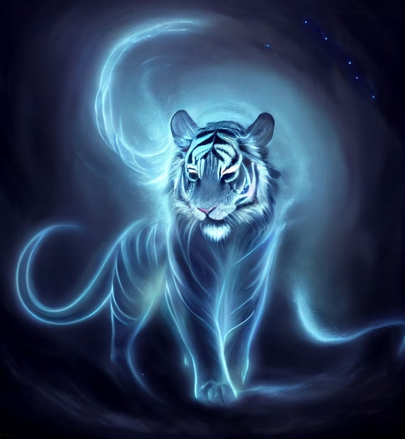 502298 animals white tigers  Rare Gallery HD Wallpapers