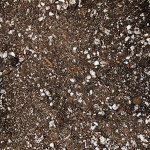May include: Close-up of potting soil mix, featuring dark brown soil with scattered white perlite pieces. The texture is coarse and granular, ideal for gardening and planting.