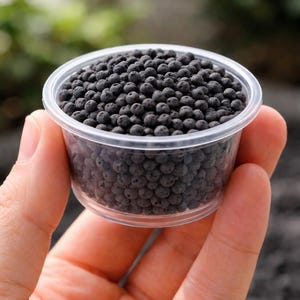 May include: A clear plastic container filled with small, dark gray, spherical objects. The container is held in a person's hand, with a blurred green background. The objects appear to be a type of plant fertilizer or soil amendment.