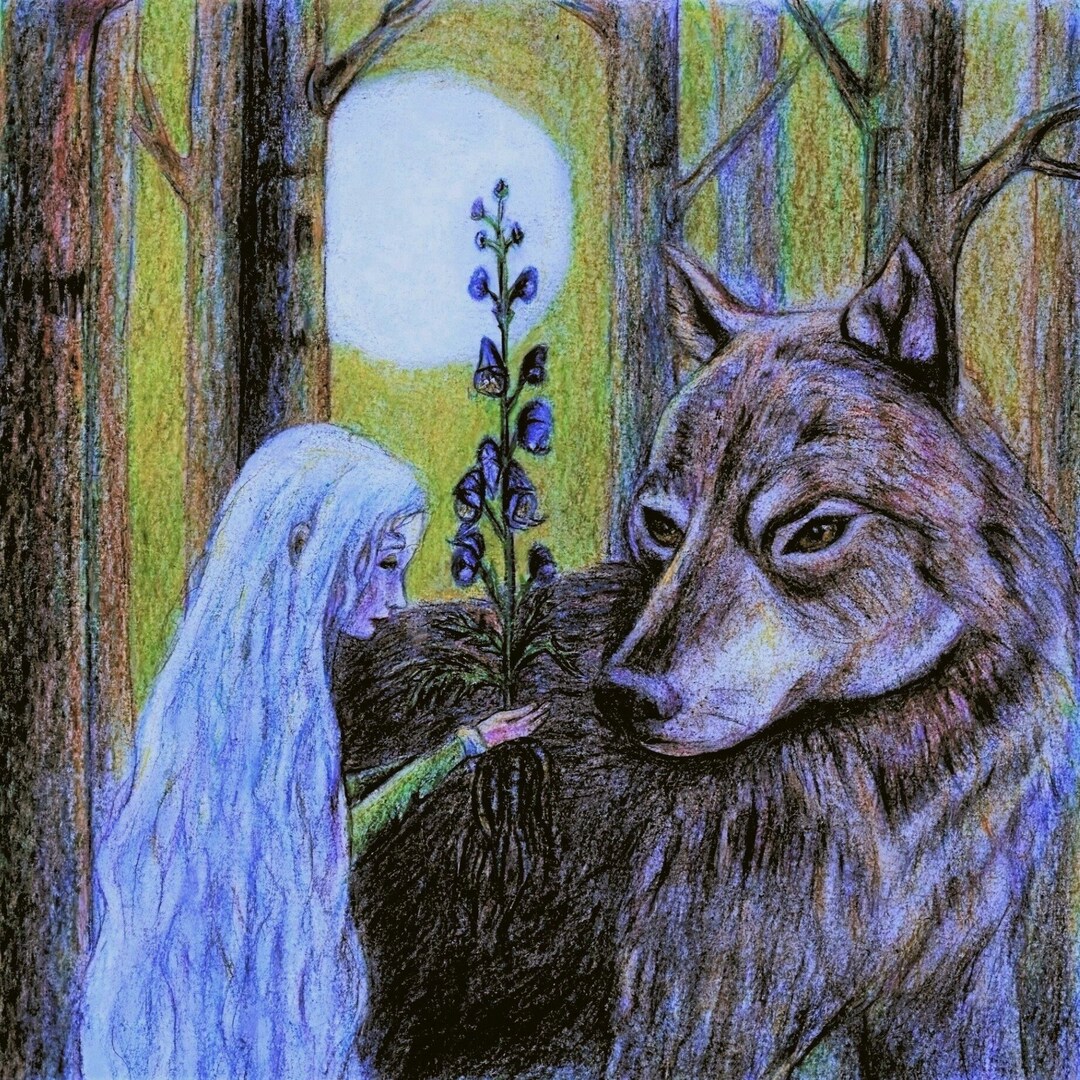 Wolves Bane History Wolf's Bane - Etsy