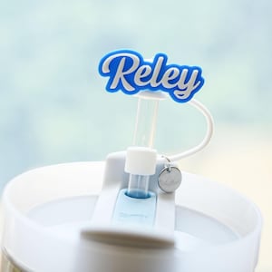 May include: A white tumbler lid featuring a clear straw topped with a blue and white silicone name tag that reads Reley in a cursive font. A thin white tether connects the name tag to a small, circular, silver-colored metal charm.