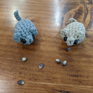 May include: Two crocheted gray and tan animal figurines with black eyes, sitting on a wooden surface with scattered corn kernels.