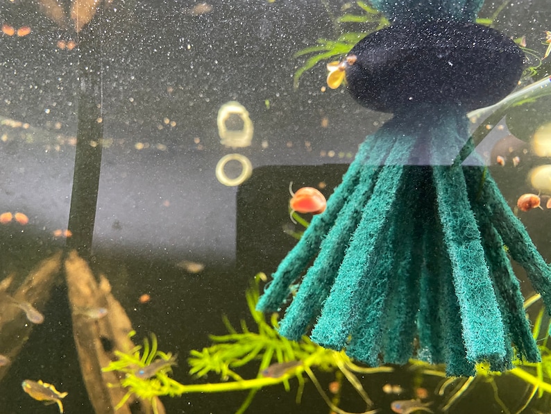 Floating Spawning Mop to Breed Ricefish, Rainbow Fish, Ect Etsy