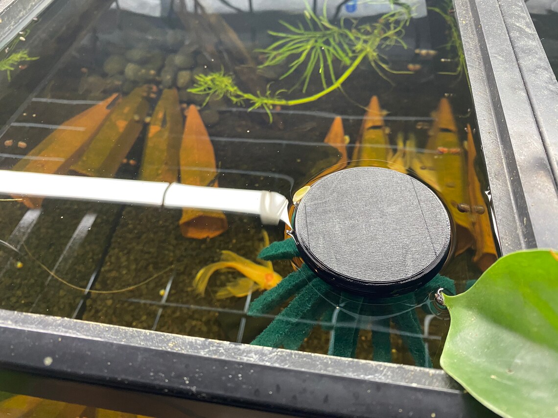 Floating Spawning Mop to Breed Ricefish, Rainbow Fish, Ect Etsy