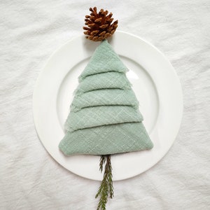 Könnte beinhalten: Ein weißer Teller mit einem gefalteten grünen Stoff-Weihnachtsbaum darauf. Oben auf dem Baum befindet sich ein kleiner brauner Tannenzapfen. Ein grüner Zweig ragt aus der Unterseite des Baumes.