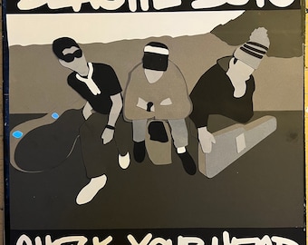 Beastie Boys: Check Your Head Minimalist Album Art - Etsy Canada