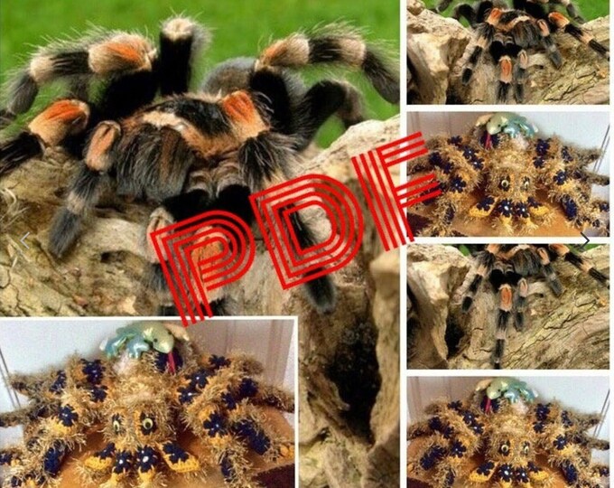 Amigurumi,modèle peluche grande l'araignée au crochet (style petits  fleurs africaines).Format Pdf.