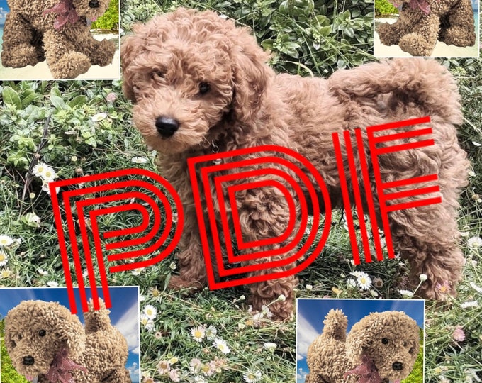 Amigurumi,modèle chien Puddle au crochet .Patron avec tutoriels anglais .Format Pdf.