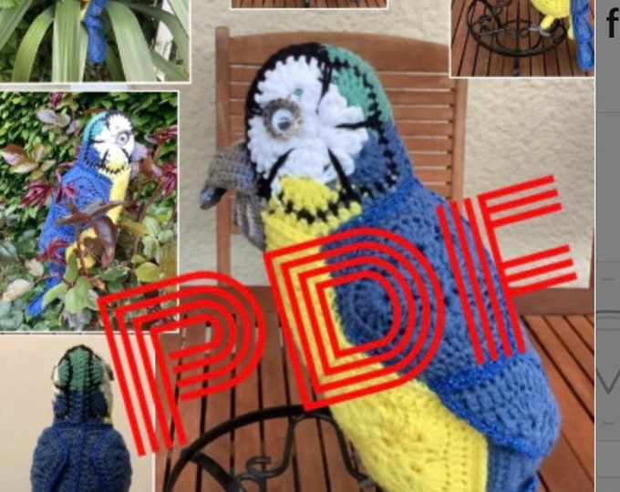 Modèle pirogue ara crochet ( fleurs africaines).Schemas ,diagrammes internationaux, motifs fleur africaine en français, anglais,format PDF.