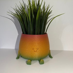Happy Fuzzy Skin Face / Head Planter - Cute Succulent Plant Pot - 3D Printed Eco Friendly, Recyclable Material