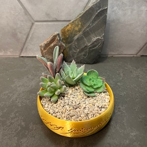 The One Ring Succulent Planter Pot Inspired by Lord of the Rings LOTR The Hobbit Gandalf Frodo Gollum Legolas 3D Printed Succulent Option 4