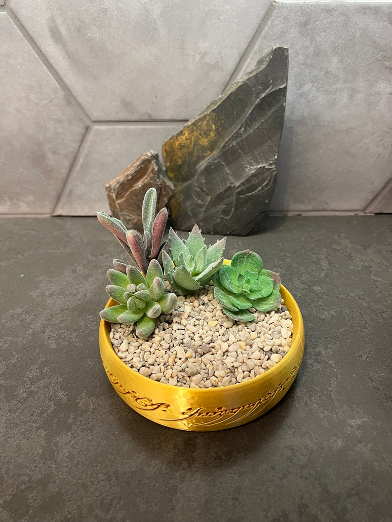 The One Ring Succulent Planter Pot Inspired by Lord of the Rings LOTR The Hobbit Gandalf Frodo Gollum Legolas 3D Printed Succulent Option 4