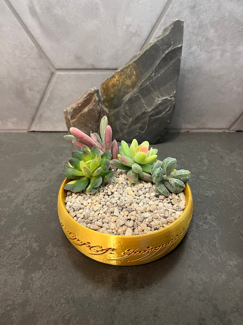 The One Ring Succulent Planter Pot Inspired by Lord of the Rings LOTR The Hobbit Gandalf Frodo Gollum Legolas 3D Printed Succulent Option 3