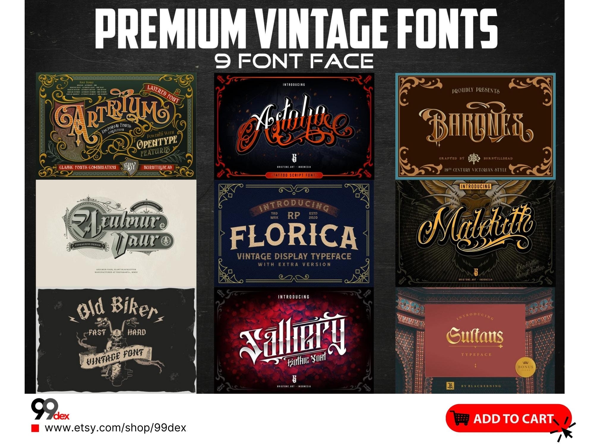 When Modern Meet Vintage Font Bundle – MasterBundles
