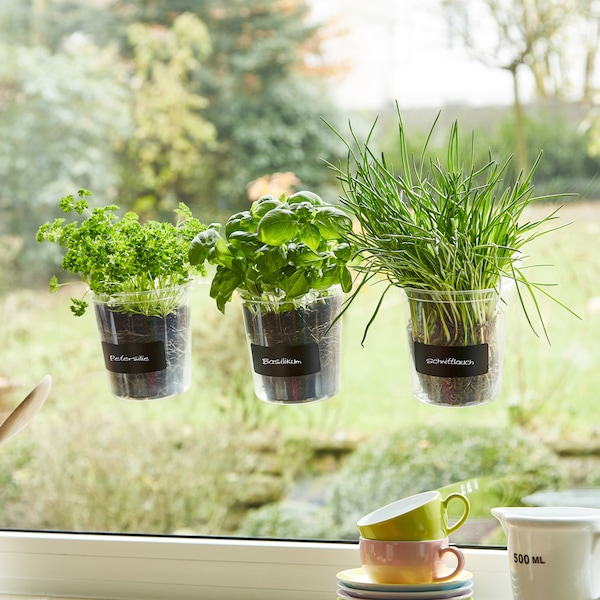 Kräutertopf TRIO - der Indoor Kräutergarten! Der Mini-Kräutergarten direkt am Fenster