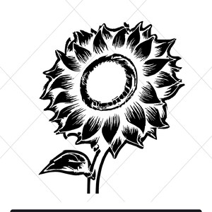 Drawn Sunflower SVG – Premium Drawn Vector SVG