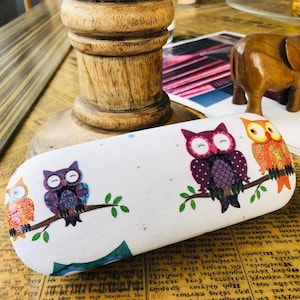 Owl hard eyeglasses case , owls kids decoupage box for glasses , unisex gift portable , best friend gift , reading glasses case