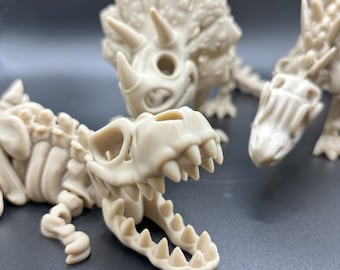 Flexi Skeleton Dinosaur Set