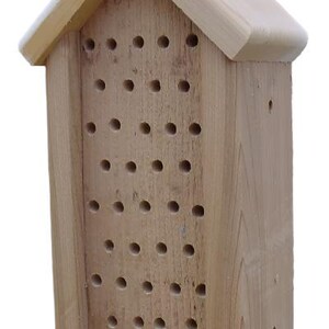 May include: A wooden bee house with a pitched roof and multiple holes for bees to nest in.