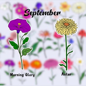 Birth Flower Waterproof Vinyl Stickers|September Flower Sticker|Birth Month Sticker| Laptop Vinyl Decal | Water Bottle Decal| Kindle Sticker
