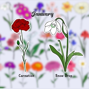 Birth Flower Waterproof Vinyl Stickers | January Flower Sticker|Birth Month Sticker| Laptop Vinyl Decal | Water Bottle Decal| Kindle Sticker