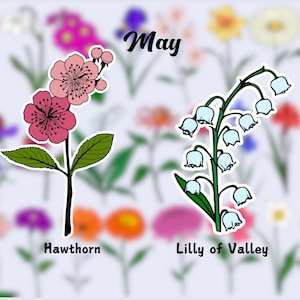 Birth Flower Waterproof Vinyl Stickers | May Flower Sticker|Birth Month Sticker| Laptop Vinyl Decal | Water Bottle Decal| Kindle Sticker