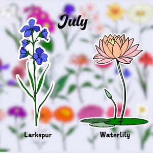 Birth Flower Waterproof Vinyl Stickers|July Flower Sticker|Birth Month Sticker| Laptop Vinyl Decal | Water Bottle Decal| Kindle Sticker