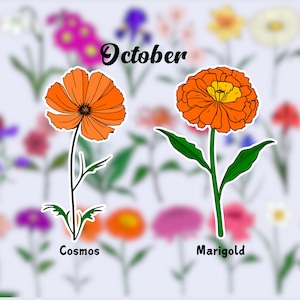 Birth Flower Waterproof Vinyl Stickers|October Flower Sticker|Birth Month Sticker| Laptop Vinyl Decal | Water Bottle Decal| Kindle Sticker