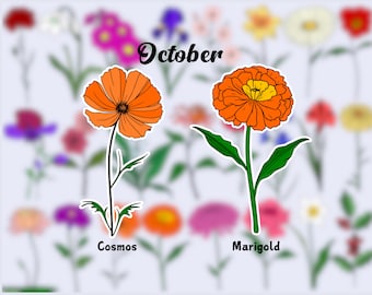 Birth Flower Waterproof Vinyl Stickers|October Flower Sticker|Birth Month Sticker| Laptop Vinyl Decal | Water Bottle Decal| Kindle Sticker