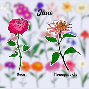 Birth Flower Waterproof Vinyl Stickers| June Flower Sticker|Birth Month Sticker| Laptop Vinyl Decal | Water Bottle Decal| Kindle Sticker