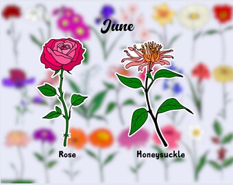 Birth Flower Waterproof Vinyl Stickers| June Flower Sticker|Birth Month Sticker| Laptop Vinyl Decal | Water Bottle Decal| Kindle Sticker