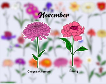 Birth Flower Waterproof Vinyl Stickers|November Flower Sticker|Birth Month Sticker| Laptop Vinyl Decal | Water Bottle Decal| Kindle Sticker