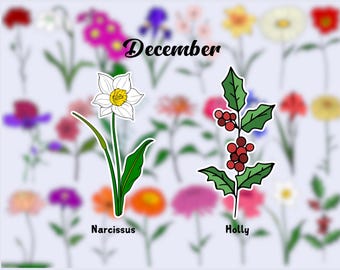 Birth Flower Waterproof Vinyl Stickers|December Flower Sticker|Birth Month Sticker| Laptop Vinyl Decal | Water Bottle Decal| Kindle Sticker