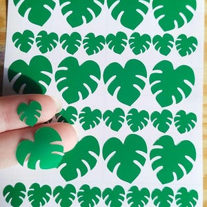 Adesivos de folhas de Monstera 1 polegada e 0,5 polegada mix