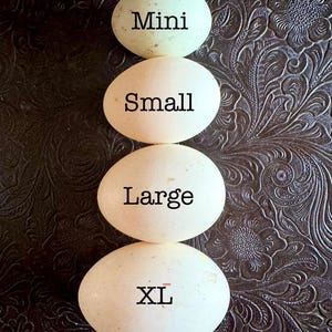 LARGE size Farm Fresh Duck Eggs. Perfect for baking & all recipes using eggs. Farm fresh, free-range, organically fed. Multiple options.