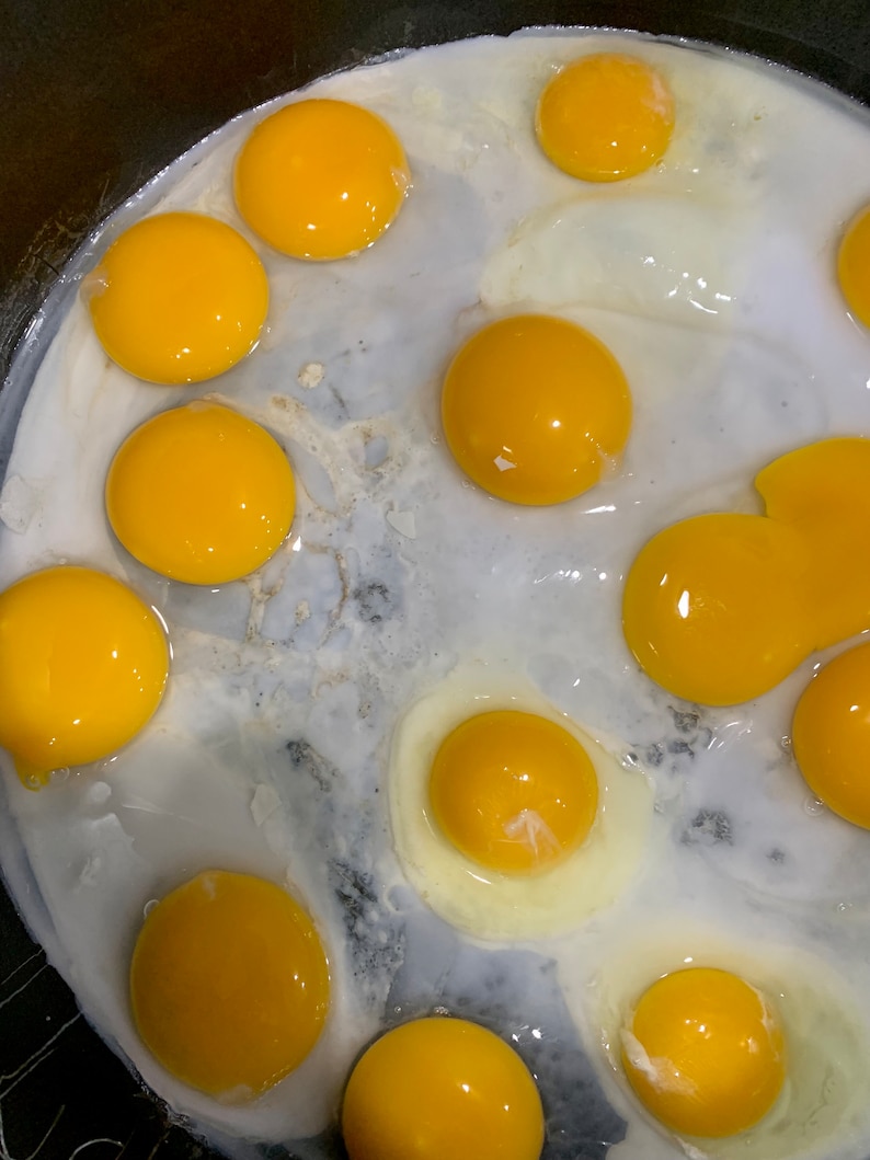 1 Dz Farm Fresh JUMBO Pekin Duck Eggs. Perfect for Baking and Etsy